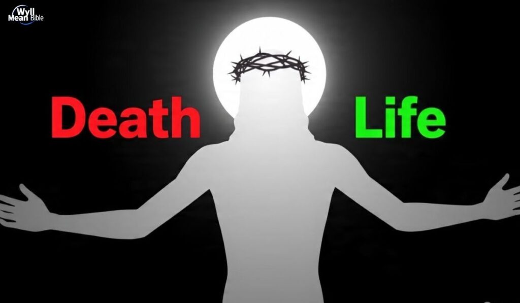 The Meaning of Death and Life in Scripture