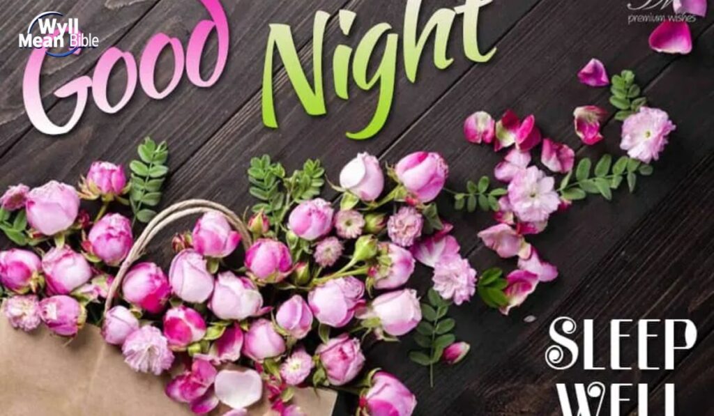 Good Night Sleep Well Blessings